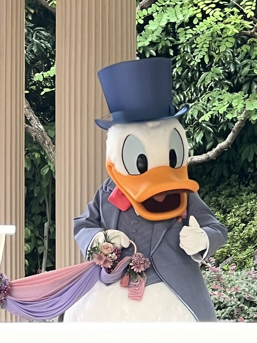 「というわけでアンバサダーでのお式!!!!お呼ばれしてきました!!!!花嫁さんとて」|沖野しずくのイラスト