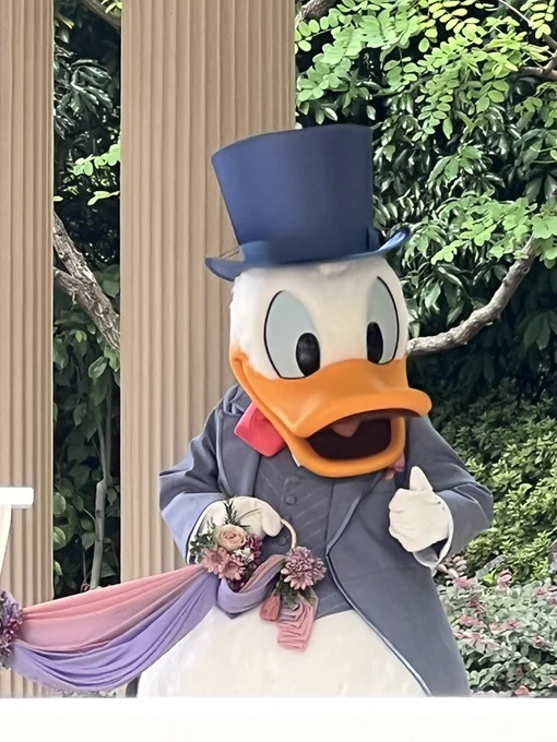 というわけでアンバサダーでのお式!!!!お呼ばれしてきました!!!!花嫁さんとてもかわいくて素敵でお料理めちゃくちゃ美味しかった〜(,,•﹏•,,) 