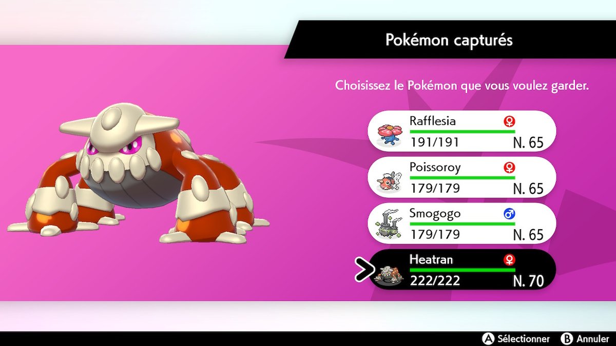 Raphalouf tweet media