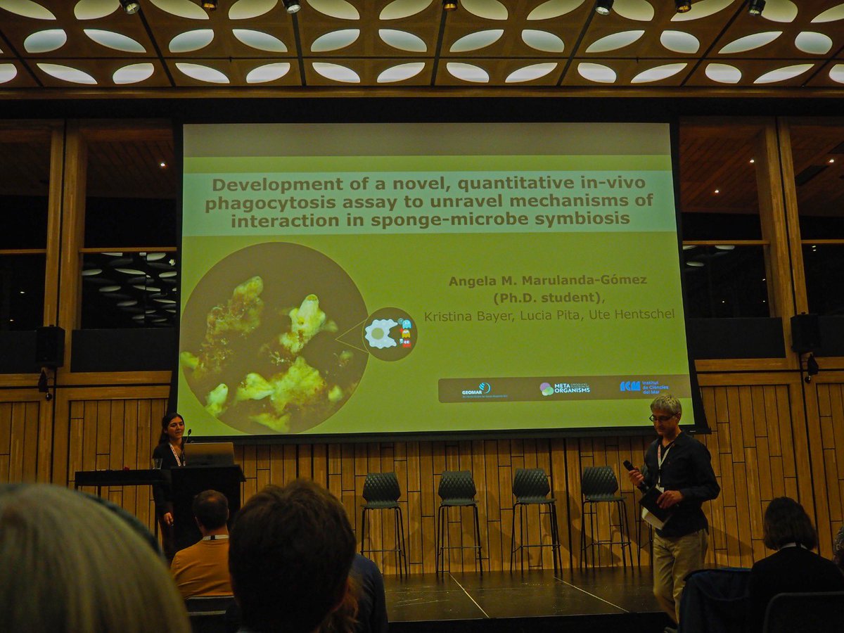 amarulanda tweet media