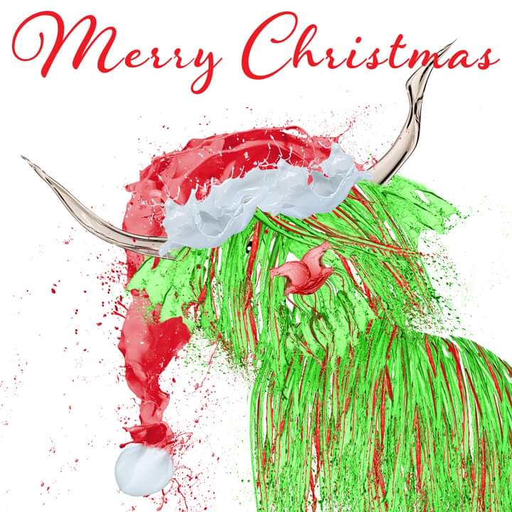 angie_R's tweet photo. Splashy Coo has his Christmas hat on and features on the new 2022 Christmas Cards. Available now on at
https://t.co/Bzzr5td5nf

#Christmas2022 #WomeninBusiness #highlandcow #Artists #scotland #DigitalArtist https://t.co/WYMl9Wjxqi