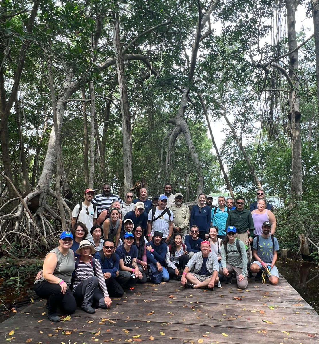 Fantastic week in Merida with the BC science working at the Mangrove congress of the Americas. <a href="/danfriess/">Dan Friess</a> <a href="/Steve_Crooks/">Steve Crooks</a> <a href="/BlueCarbon_BCI/">BlueCarbonInitiative</a> <a href="/CathLovelock/">Cath Lovelock</a> <a href="/JenFarmer1/">Jennifer Howard</a> <a href="/leahslife/">Leah Glass</a> <a href="/james_kairo/">James Kairo</a>