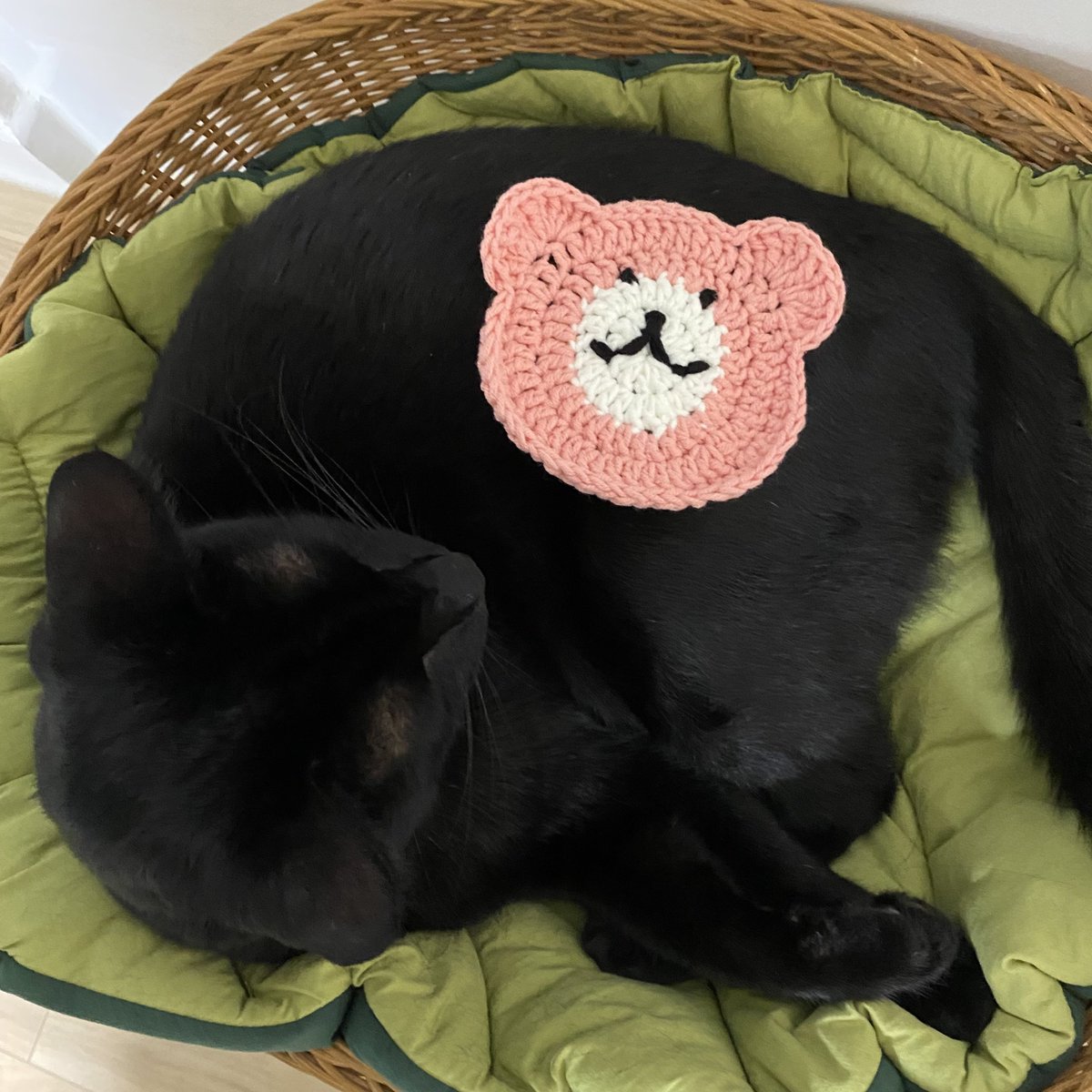 포셰트 코스터 장만🎀