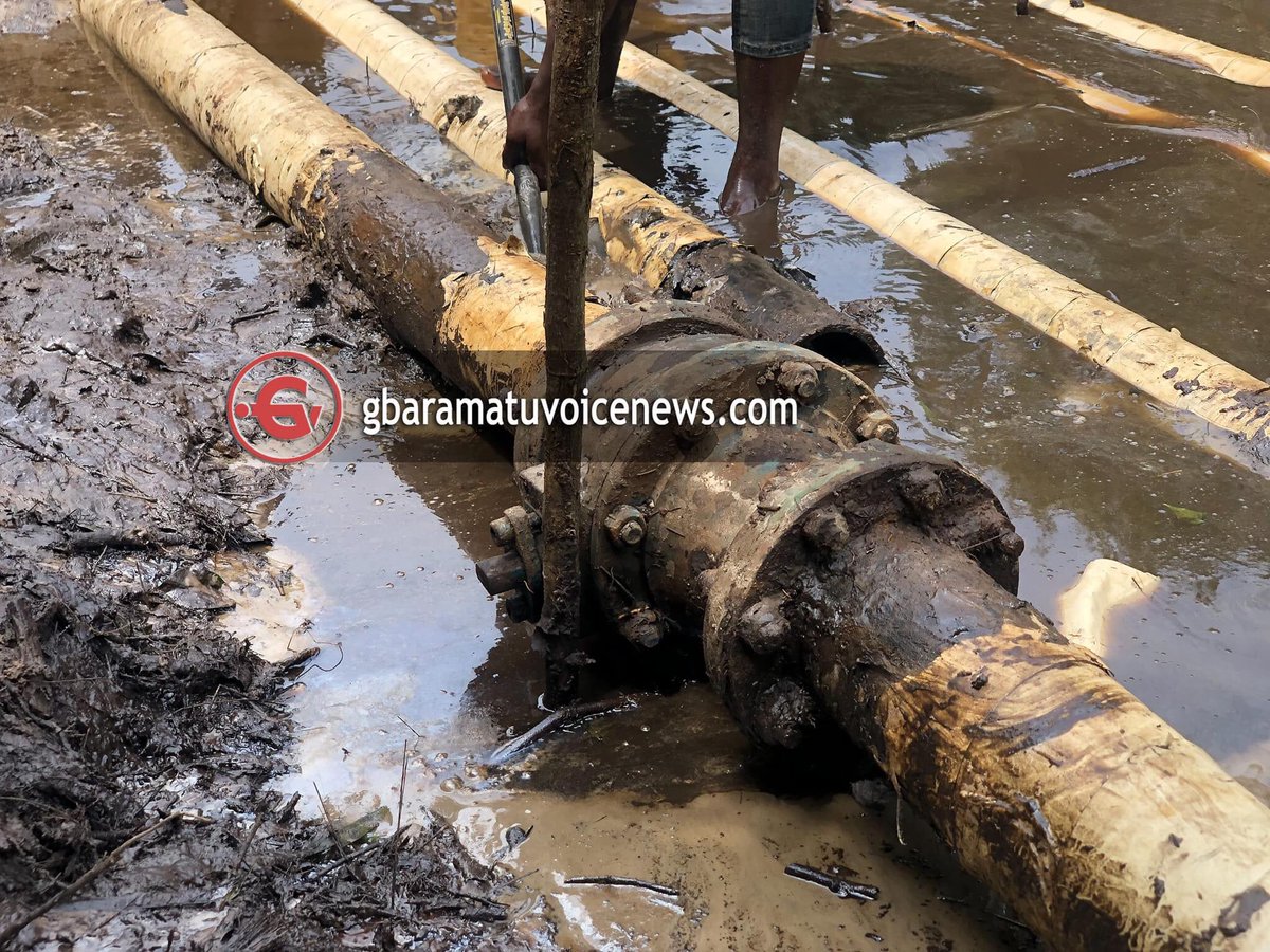 OvieNews's tweet photo. FLASH : Tompolo’s boys uncover another pipeline hiding in plain sight that’s diverting crude oil from a 400,000 barrel per day Forcados pipeline, with the use of this abandoned AGIP pipeline . From here the crude is then ferried into the sea for onward delivery to buyers abroad. https://t.co/UFZRAi32TG