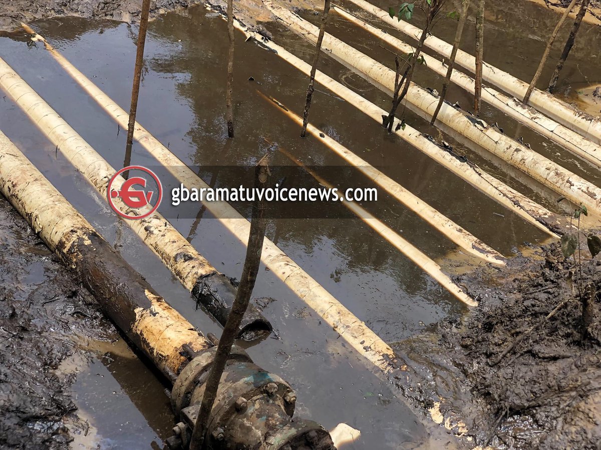 OvieNews's tweet photo. FLASH : Tompolo’s boys uncover another pipeline hiding in plain sight that’s diverting crude oil from a 400,000 barrel per day Forcados pipeline, with the use of this abandoned AGIP pipeline . From here the crude is then ferried into the sea for onward delivery to buyers abroad. https://t.co/UFZRAi32TG