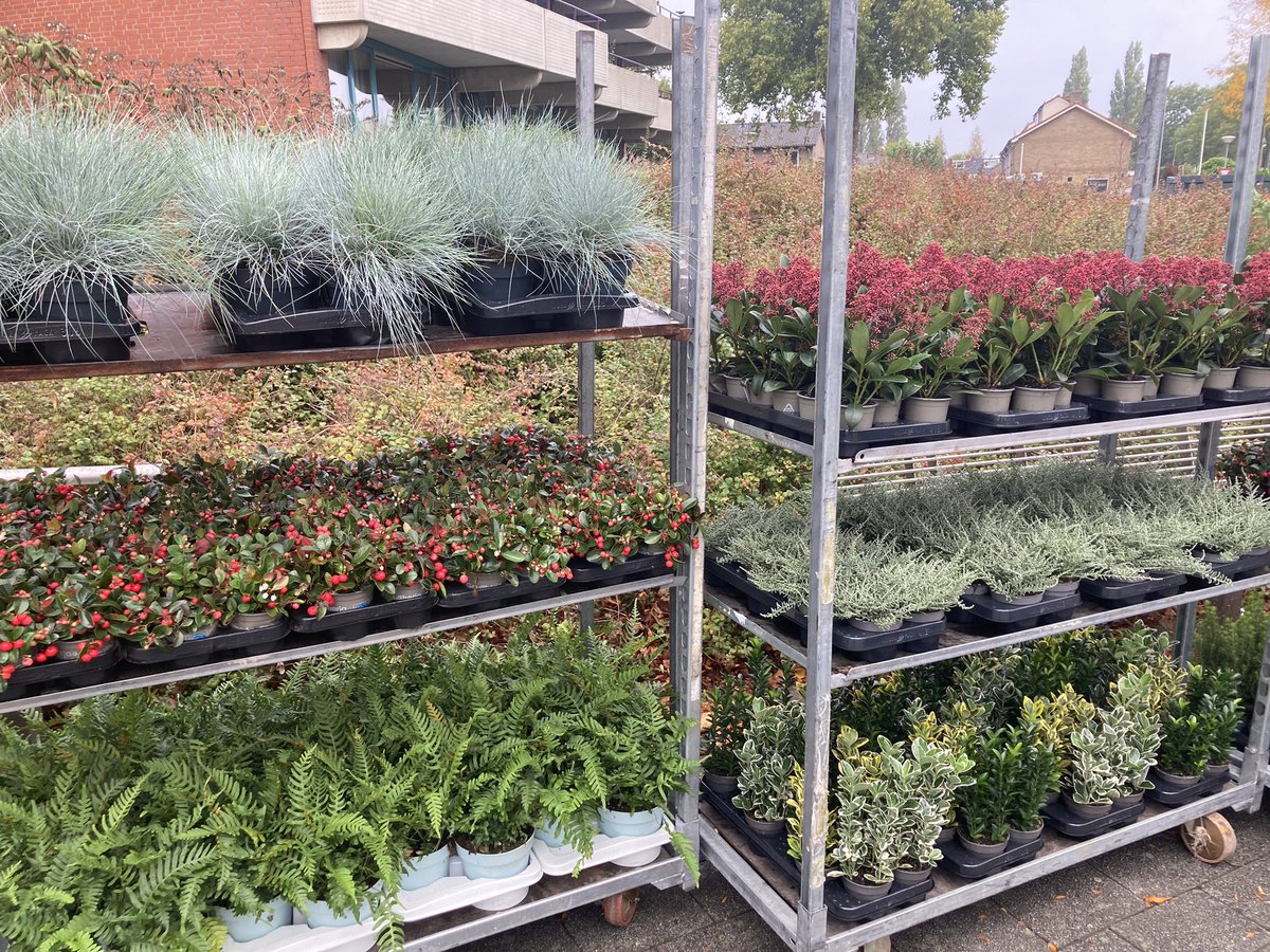 En we zijn gestart! Tot 14 uur staan we in Stadsdennen en kun je je tuintegels inleveren voor een tuinplant.@MPijn <a href="/gemharderwijk/">Gemeente Harderwijk</a> <a href="/veluweduurzaam/">Veluwe Duurzaam</a> <a href="/ValleienVeluwe/">Waterschap Vallei en Veluwe</a> @olafmolenaar