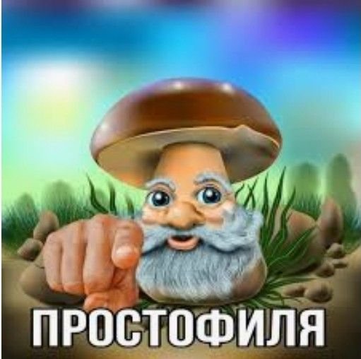 IceMistShadow's tweet photo. @_Dilersha Нет ты!! https://t.co/MbZbz3c9X7