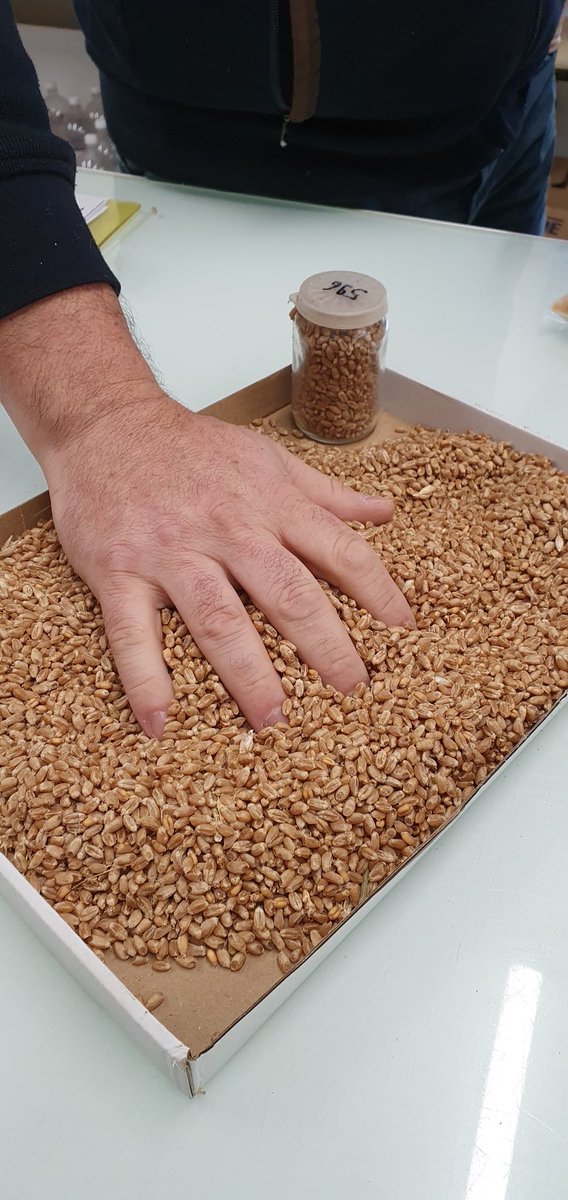 🤔Qu'est ce qu'on fait avec tous ces produits agricoles? Des quizz pour mieux comprendre ce qui nous nourris, nous habille, ... #FDS2022 portes ouvertes <a href="/ArvalisHdF/">ARVALIS Hauts-de-France</a> 🌱🌾🌽🥐🥖👕🧥👚