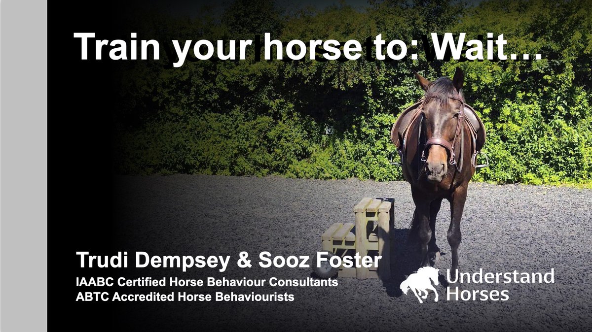 justineharrison's tweet photo. Great new course available on @equine_courses. Coaches Trudi and Sooz are awesome! https://t.co/4YC4WJespi