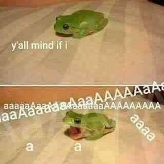 Moontrashi's tweet photo. Daily frog meme #215 https://t.co/pzIp6ErEZ1