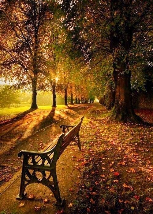 ANGELESBERMEJO1's tweet photo. Feliz fin de semana amigos
Happy weekend friends
🤎🧡 https://t.co/zTHkVPyvbu