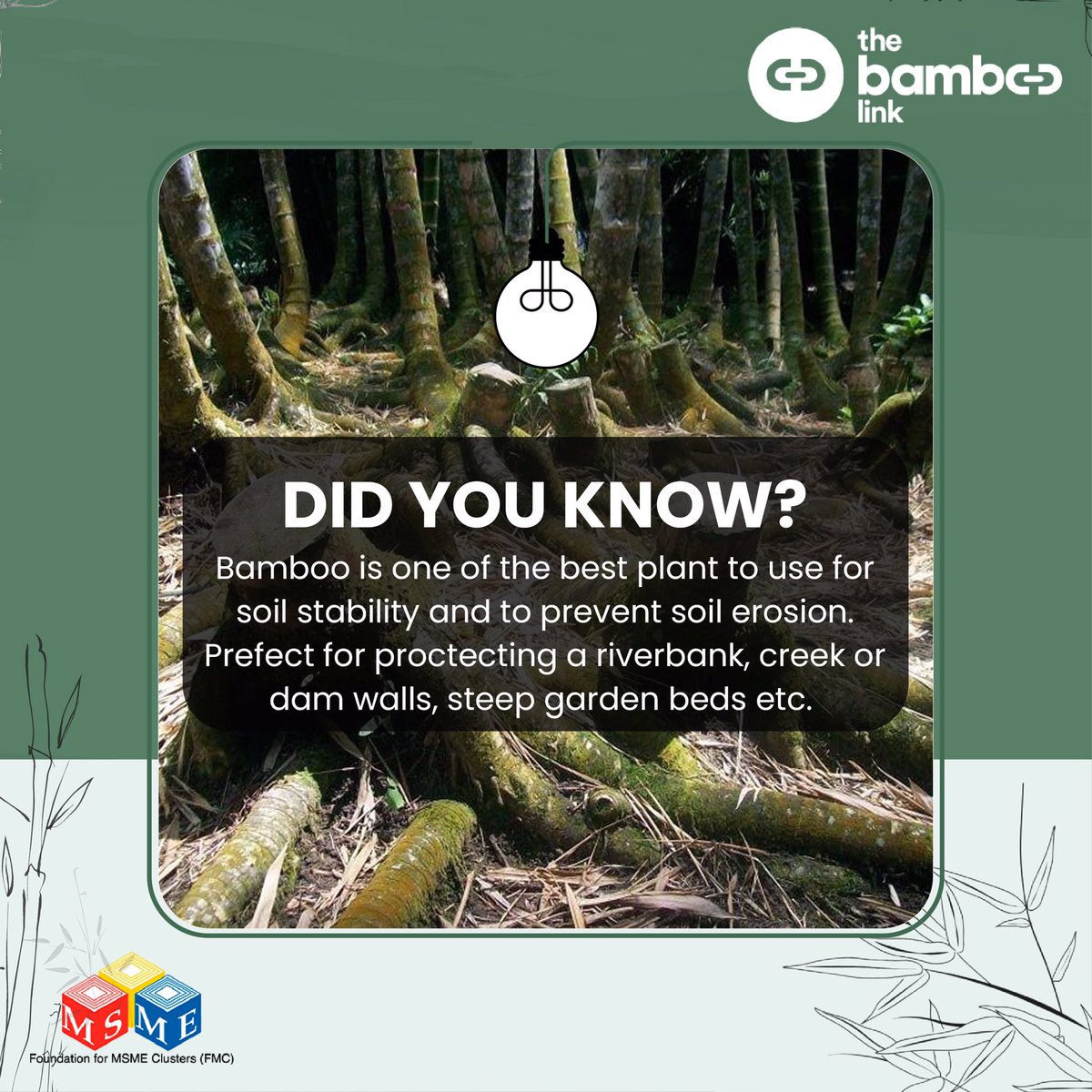 thebamboolink's tweet photo. Bamboo by far is the most environment friendly plant on the planet. #bambooplantation #bambooplant #bambooforest #sustainablesolutions #forestconservation #riverconservation #soilconservation #savesoil #deforestation #desertification #droughttolerant #droughttolerantplants https://t.co/f5K42QNwHt
