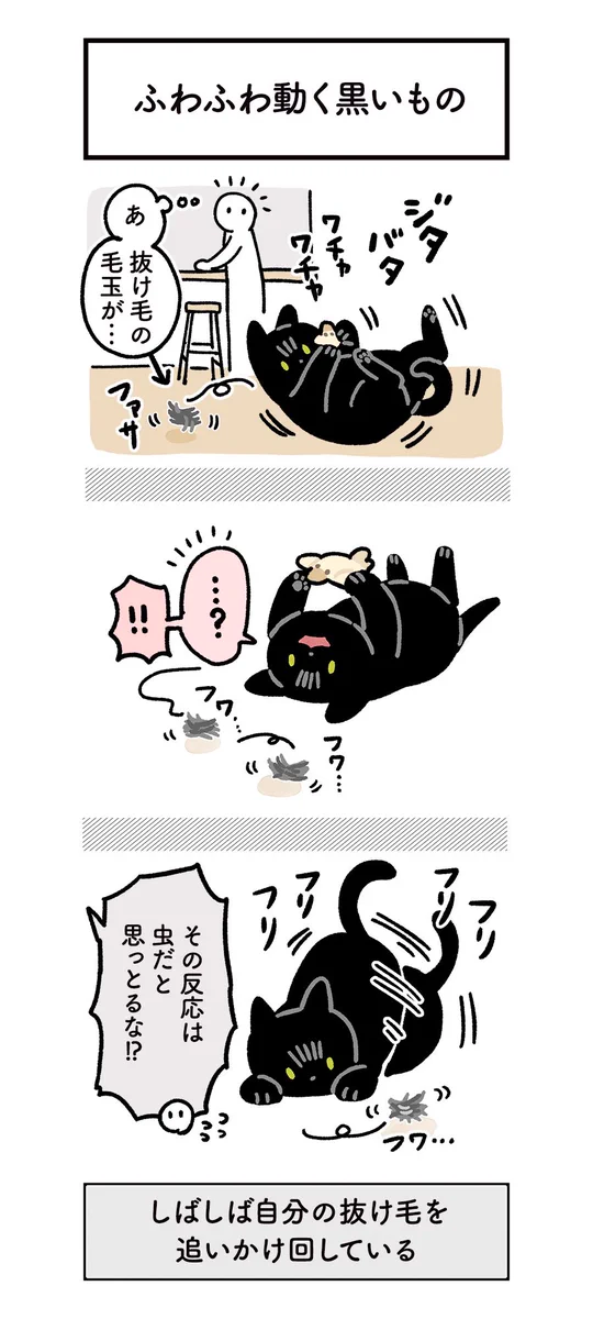 自分の抜け毛を虫と勘違いして･･･！可愛すぎる猫漫画が話題に！