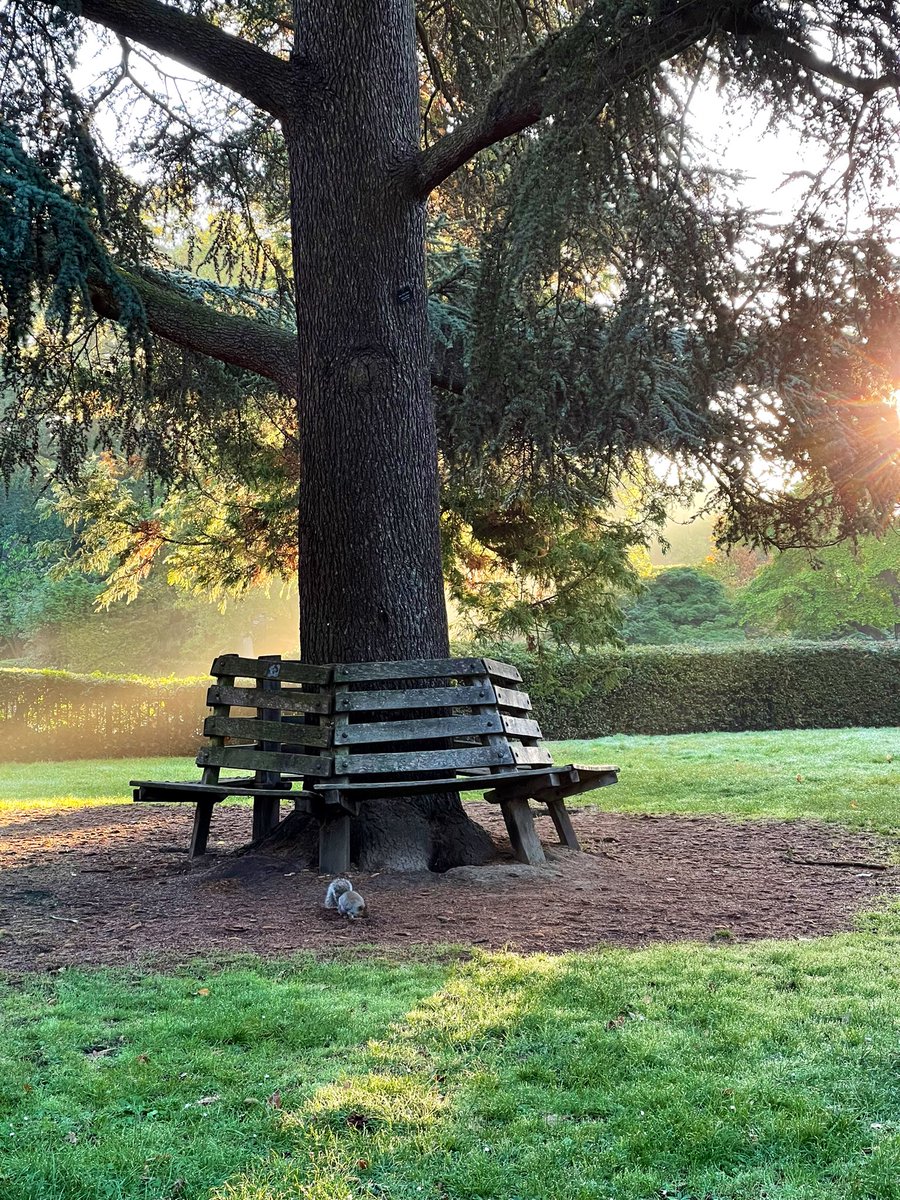 IanMillett1's tweet photo. In English you can have,
A Winter’s day 
A Spring day 
A Summer’s day 
&amp; an Autumn day 🍂☀️
#amwriting #RulesApply https://t.co/nveJAFmGSN