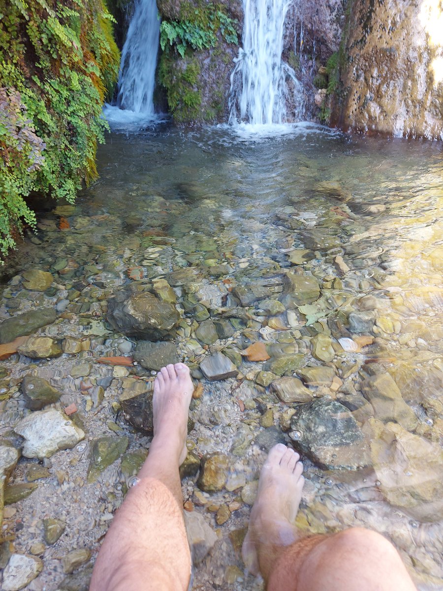 Butchguy tweet media