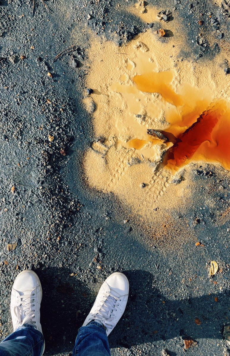 Live dall’ #IsoladElba con le community di @Igersitalia per l’#AssembleaIgersItalia2022.
Segui il racconto dell’#IgersMeet2022 sui nostri social!
<a href="/regionetoscana/">Regione Toscana</a> <a href="/VisitElbaIT/">Visit Elba Official</a> <a href="/InfoParkAT/">InfoPark Arcipelago Toscano</a> <a href="/VisitTuscany/">Visit Tuscany</a> <a href="/viaggidelgenio/">Viaggi del genio</a> <a href="/redazioneTPT/">Toscana Promozione Turistica</a>