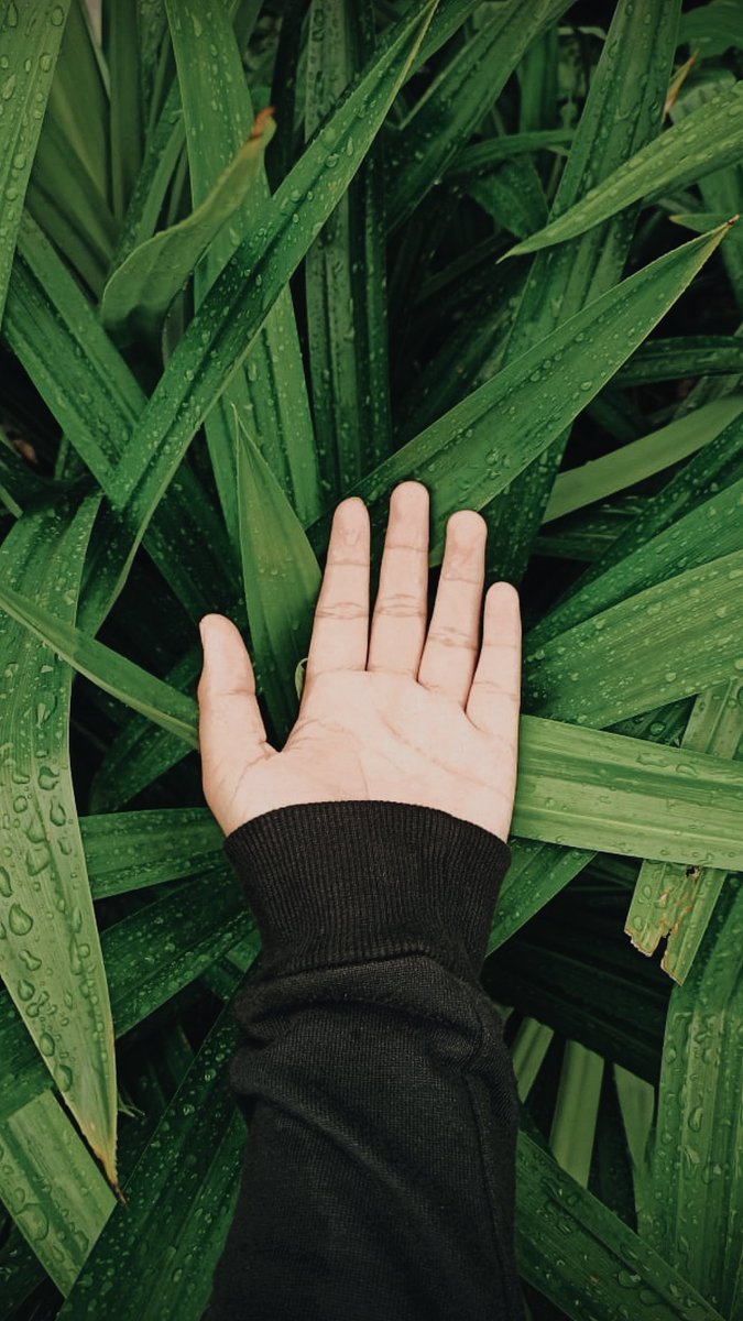 emqynx's tweet image. Udah lama ngga maen hastag #handinframe 🌱