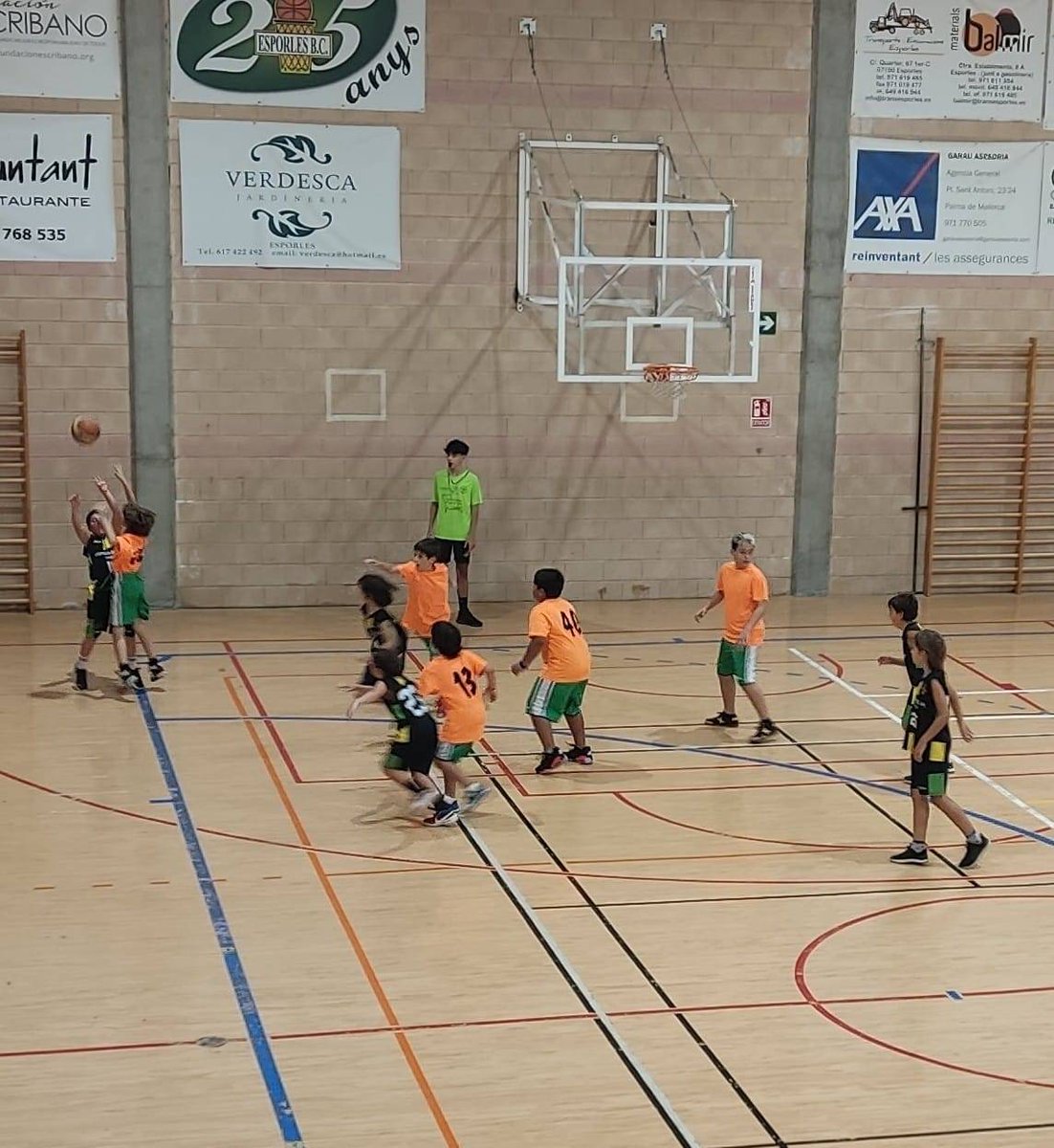 Front1989EBC's tweet photo. Presents al pavelló #to_rent 
A l'estrena dels #young #Kalamars (#Mini #Negre) 🆚 #soncotoner
#FRONT1989
#123Esporles #Somiserem https://t.co/TZpUHSGUN8