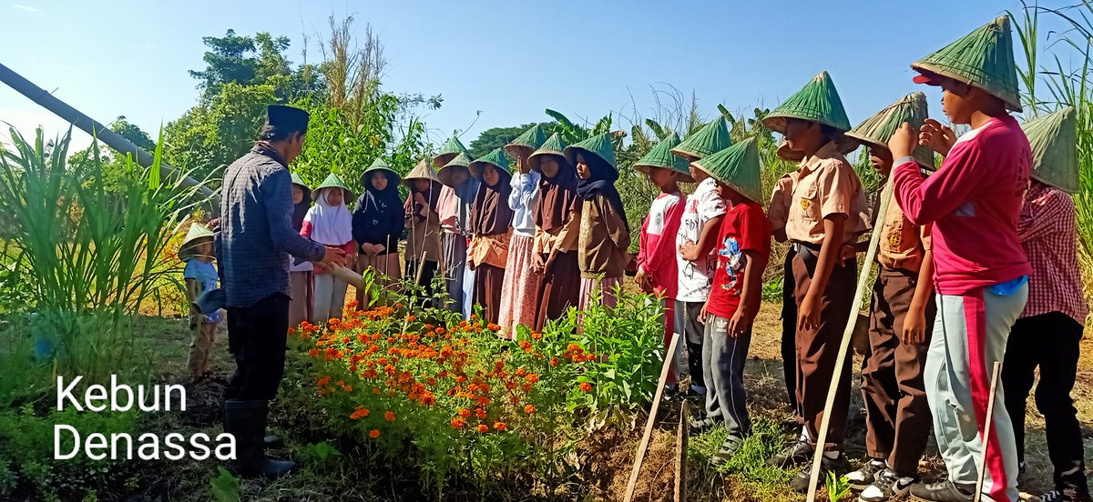 KebunDenassa's tweet photo. Belajar keanekaragaman hayati; nama, manfaat, cerita, dan kultur tanaman bersama @denassa 

#kebundenassa 
#outingclass 
#denassa https://t.co/Rqr5TcPlPE