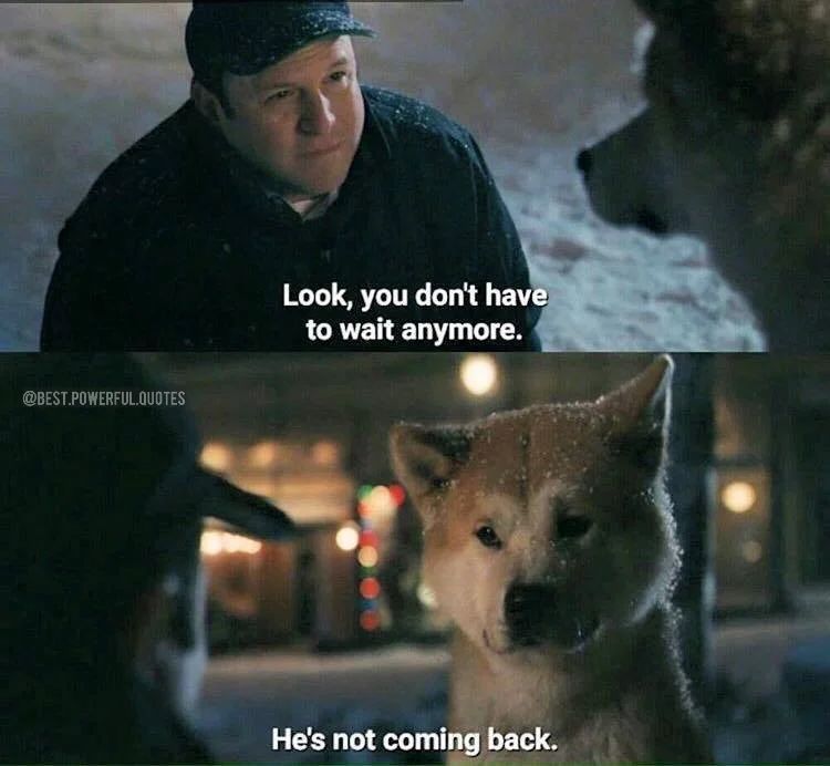 thedogline_'s tweet photo. One of the saddest movie scenes of all time. π’
π¬ Hachi: A Dog's Tale (2009)
#Hachiko #Hachi #hachiko #RichardGere #TheDogLine #Dogs #LifeWithDogs https://t.co/aF7SuPrNTd