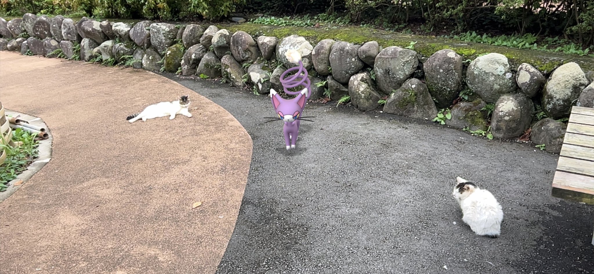 Di A ポケgo Nekosaaaaaann Twitter