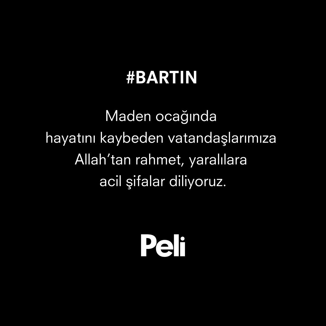 Peli Parke tweet media