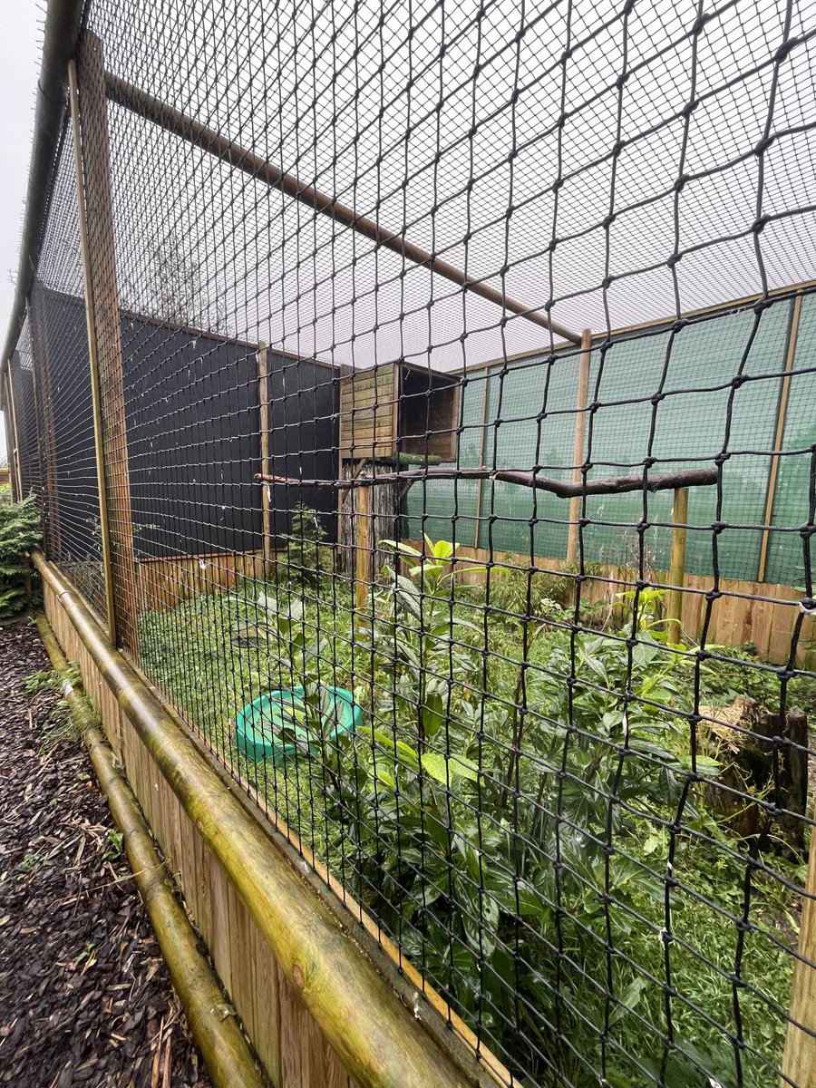 Zo kan je ook roofvogels houden !!