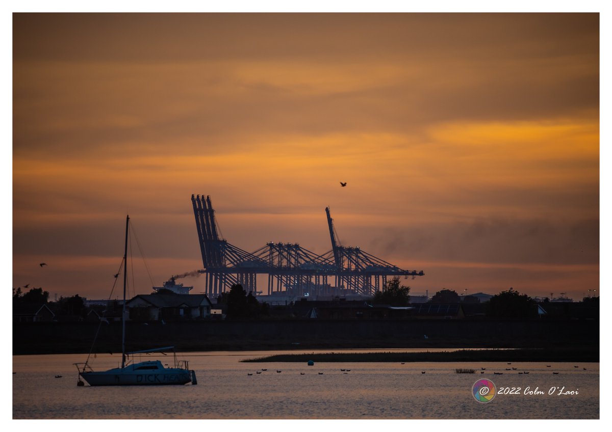 virtualcolm's tweet photo. London Gateway sunset - Interesting boat name too 🤣 #sunset #LondonGateway #cranes #Canvey #CanveyIsland #TwoTreeIsland #Southend #SouthendonSea #dickheads https://t.co/PYTfTindUR