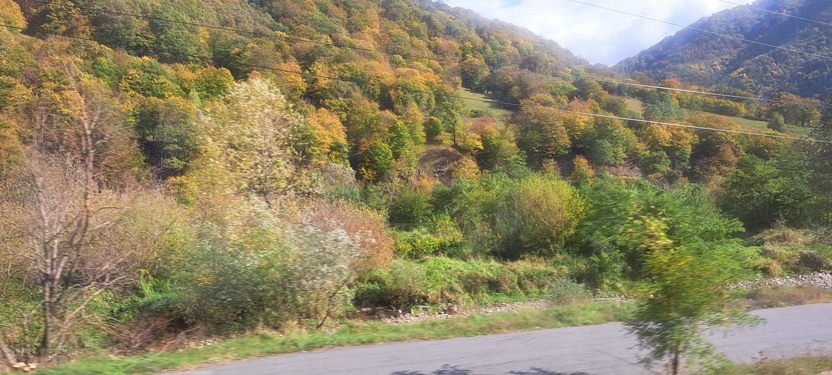 Autum colors by the road..
#photography #photographer #OltValley