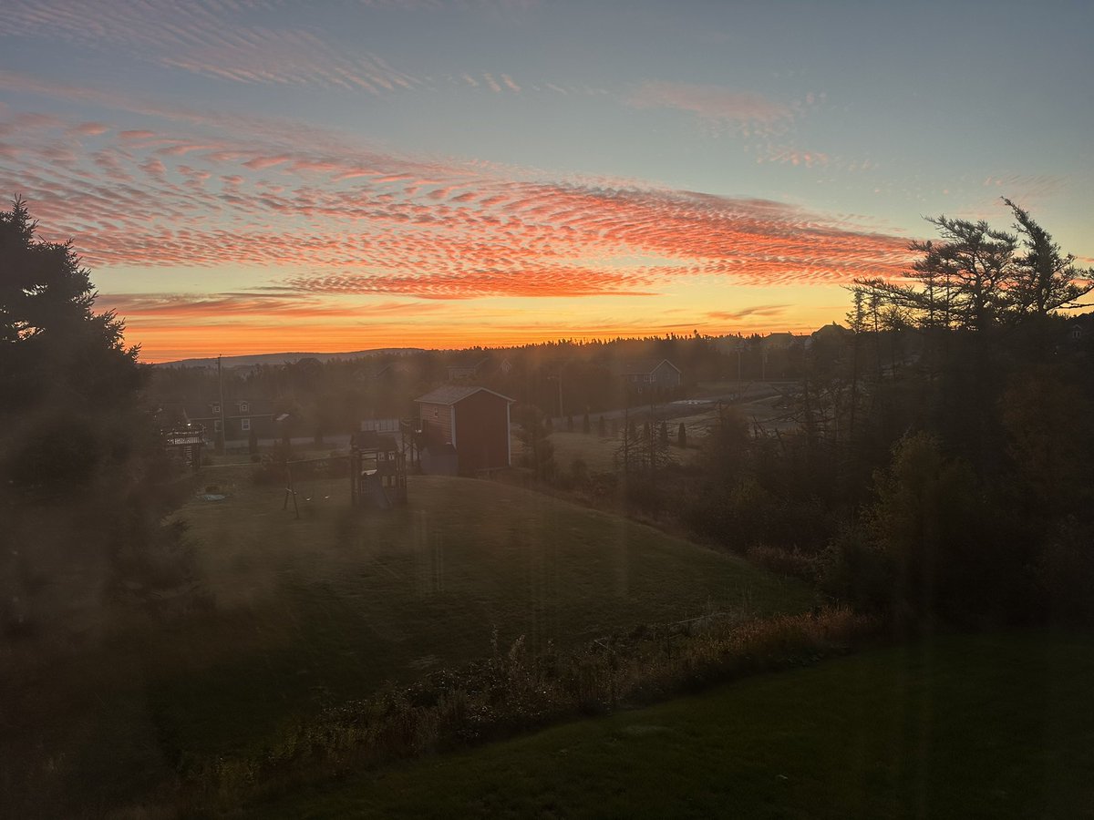 Shelley7145's tweet photo. @EddieSheerr @torbaynl Torbay https://t.co/DTzPyg8X93