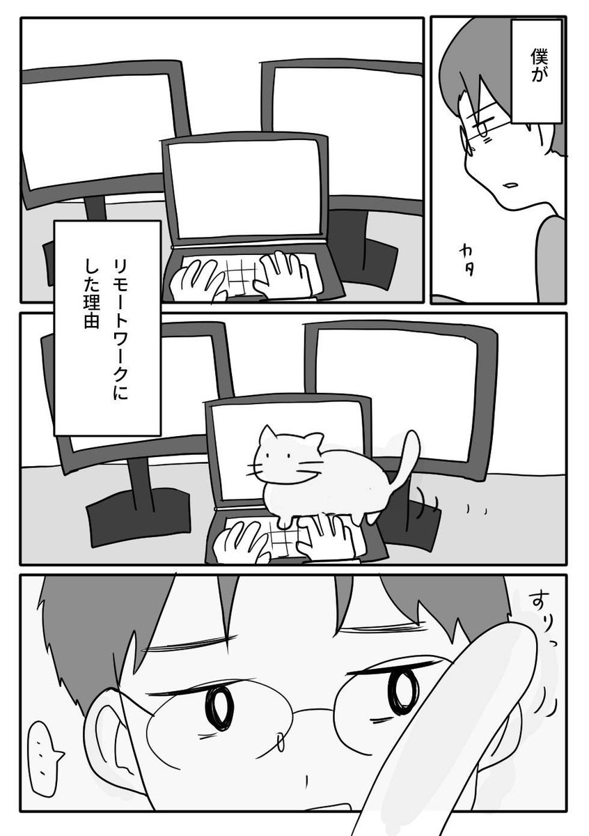 lovetdiary's tweet photo. リモートワーク🐈 https://t.co/VMRPetjYa9