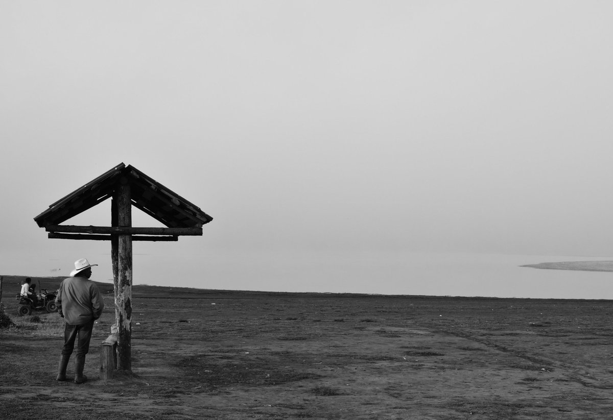 Roberto Bernal tweet media