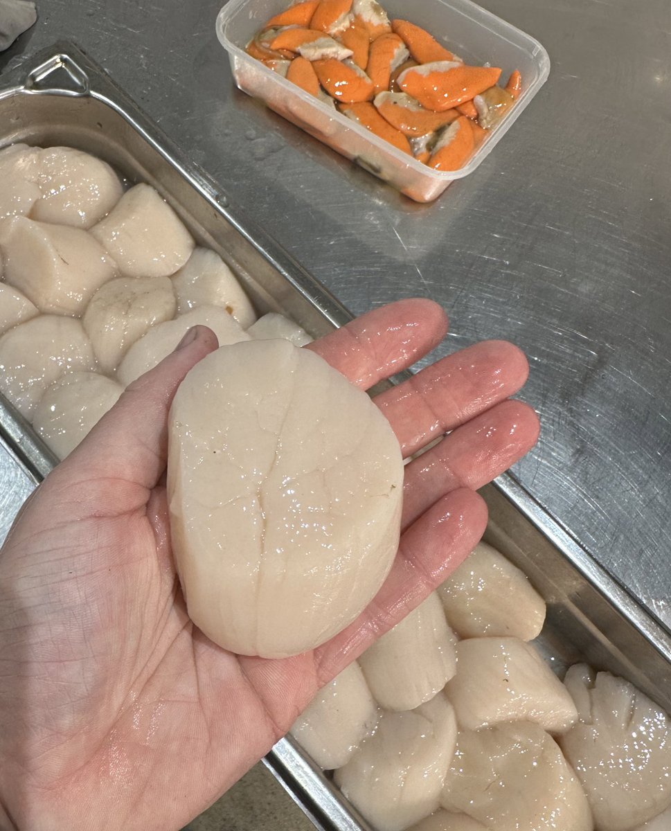 SkyeChefMonty's tweet photo. Consistent STONKERS from James at Skye Scallop Diivers as always….
Every one over 85g meat with the odd superheavyweight like this one 🤙👊
#HandDived #Skye #FreshIsBest https://t.co/uIVCSSwrHr