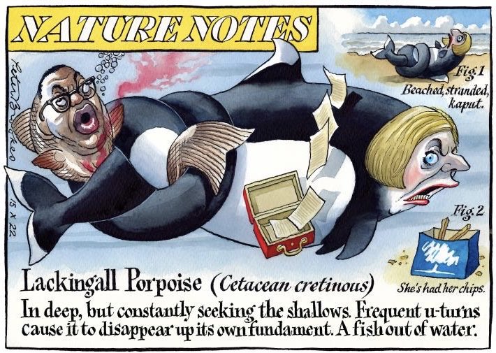 My cartoon Saturday @TheTimes. Out of its depth and all at sea…..#LizTruss #KwasiKwarteng #MiniBudget #JeremyHunt