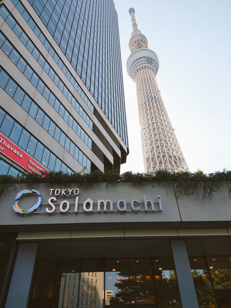 pirorinch's tweet image. 行ってみました!