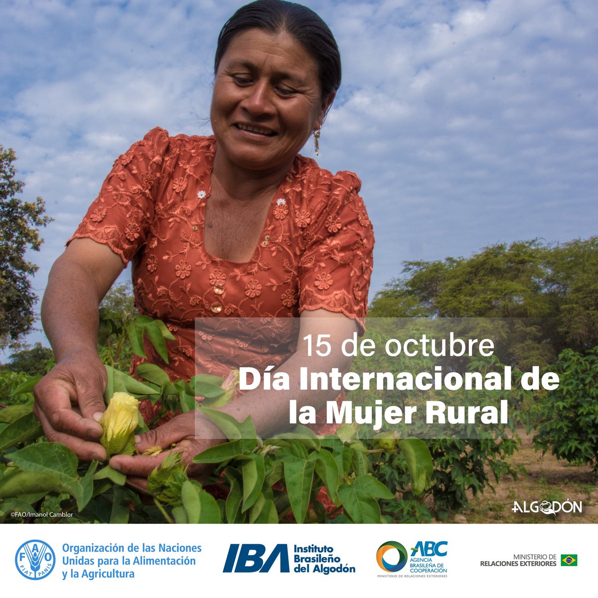 FAOBrasilCoop's tweet photo. Hoy conmemoramos a las mujeres rurales👩🏼‍🌾👩🏻‍🌾👩🏾‍🌾, celebrando su rol como ‘semillas y motores’ de la sostenibilidad e innovación en la cadena de valor del algodón en la región. #DíadelaMujerRural #MujeresRurales https://t.co/G673G4YoRs