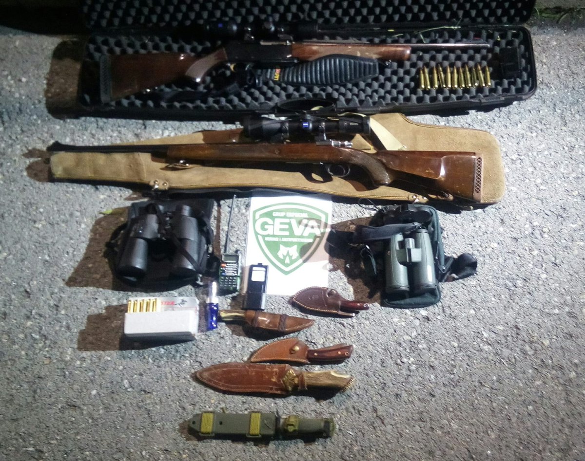 agentsruralscat's tweet photo. Agents del #GEVAcar intercepten i denuncien dos furtius al Ripollès per practicar la captura del cèrvol, incomplint l'ordre de vedes i la resolució de precintes. A més, van disparar des del vehicle i en zona de seguretat.

Se'ls va comissar les armes i els estris de caça. https://t.co/wRvtMGxhni