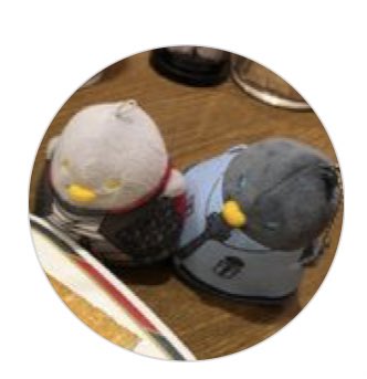 ほぼ動かしてないけどインスタのアイコン変えた 