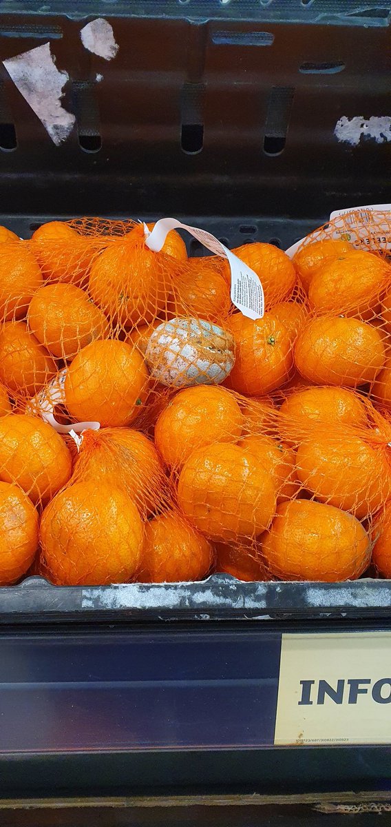 BuckmasterJanet's tweet image. So, removing the 'use buy' dates only seems to have benefited the supermarkets keeping the fruit &amp;amp; veg on the shelves too long. Either already mouldy, (this was Sainsburys Cobham this morning) or doesn't last the week at home.
