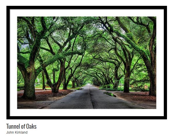 John Kirkland sold a 36' x 24' print of Tunnel of Oaks.
.
fineartamerica.com/saleannounceme…
.
#BestOfThePalmettoState #aikensc #southcarolina #southcarolinaliving #discoversouthcarolina #onlyinsouthcarolina #buythemart #gifting #giftthemart