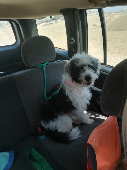 It's my babies 2nd birthday so we're going out for lunch. Who wants to treat us?? https://t.co/PMOwx16NXj