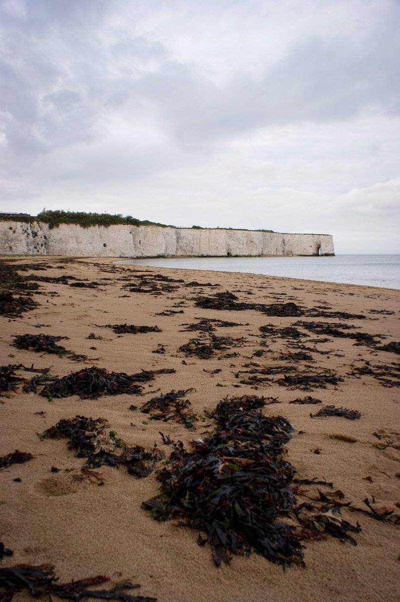 Louismcl01's tweet photo. Kingsgate Bay 📸📸
.
#thanet #kent #southeast #broadstairs #kingsgate #kingsgatebay #kentonline #bbcsoutheast #communityad #beach #coast #thephotohour #adventure #saturday #weekend #coastline #england #lovekent #photooftheday #photography #views https://t.co/7cKAYhz5XO