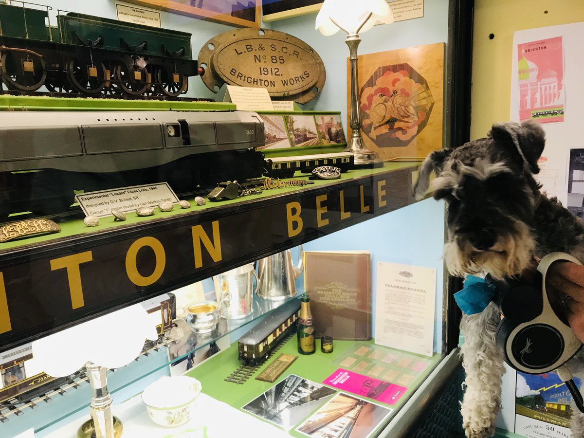 thetoymuseum's tweet photo. There was more than one Brighton Belle in the Toy Museum shop this morning!
Meet Belle, the miniature schnauzer!
We love well behaved dogs who come to the toy museum shop. What a cutie!
#DogsInMuseums #MuseumDogs #Pets #Dog https://t.co/swZEgoJ1J1