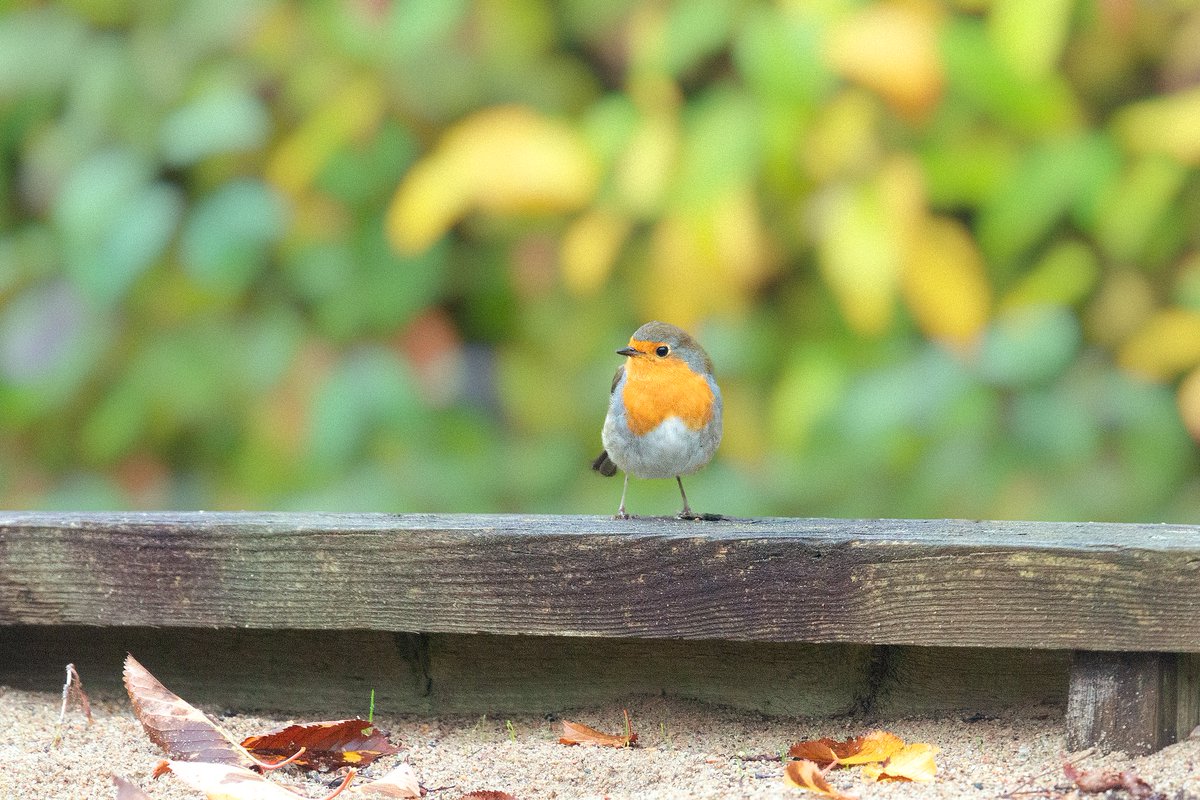 UnaxePictures tweet media