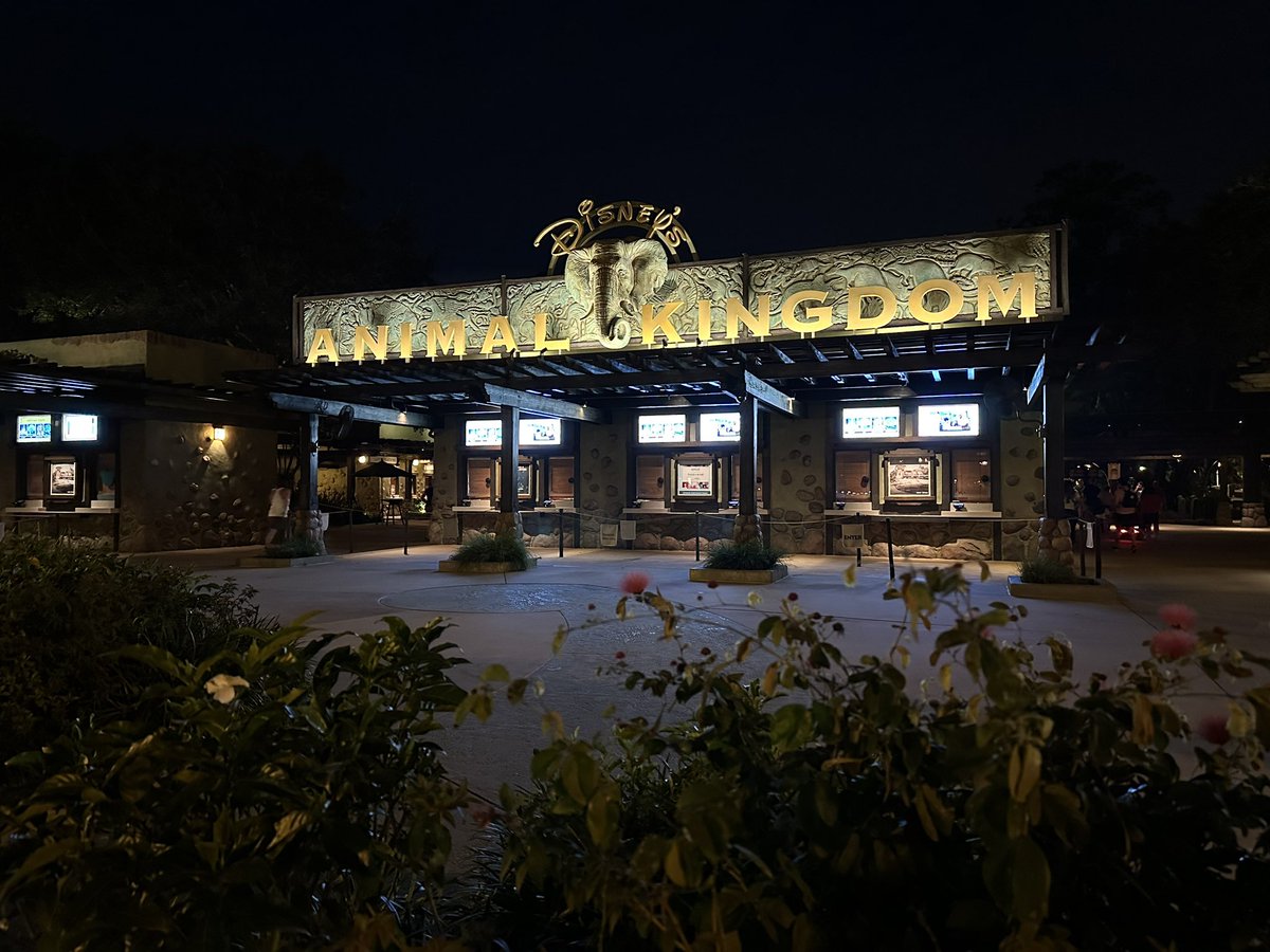 WDWRLD's tweet photo. Jamboโฆ..ready for a wild time at Disneys Animal Kingdom! #notazoo https://t.co/5clETFmFqf