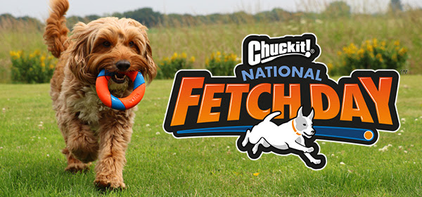 romypetscom's tweet image. Chuckit! Fetch Day - mailchi.mp/romypets/the-r…