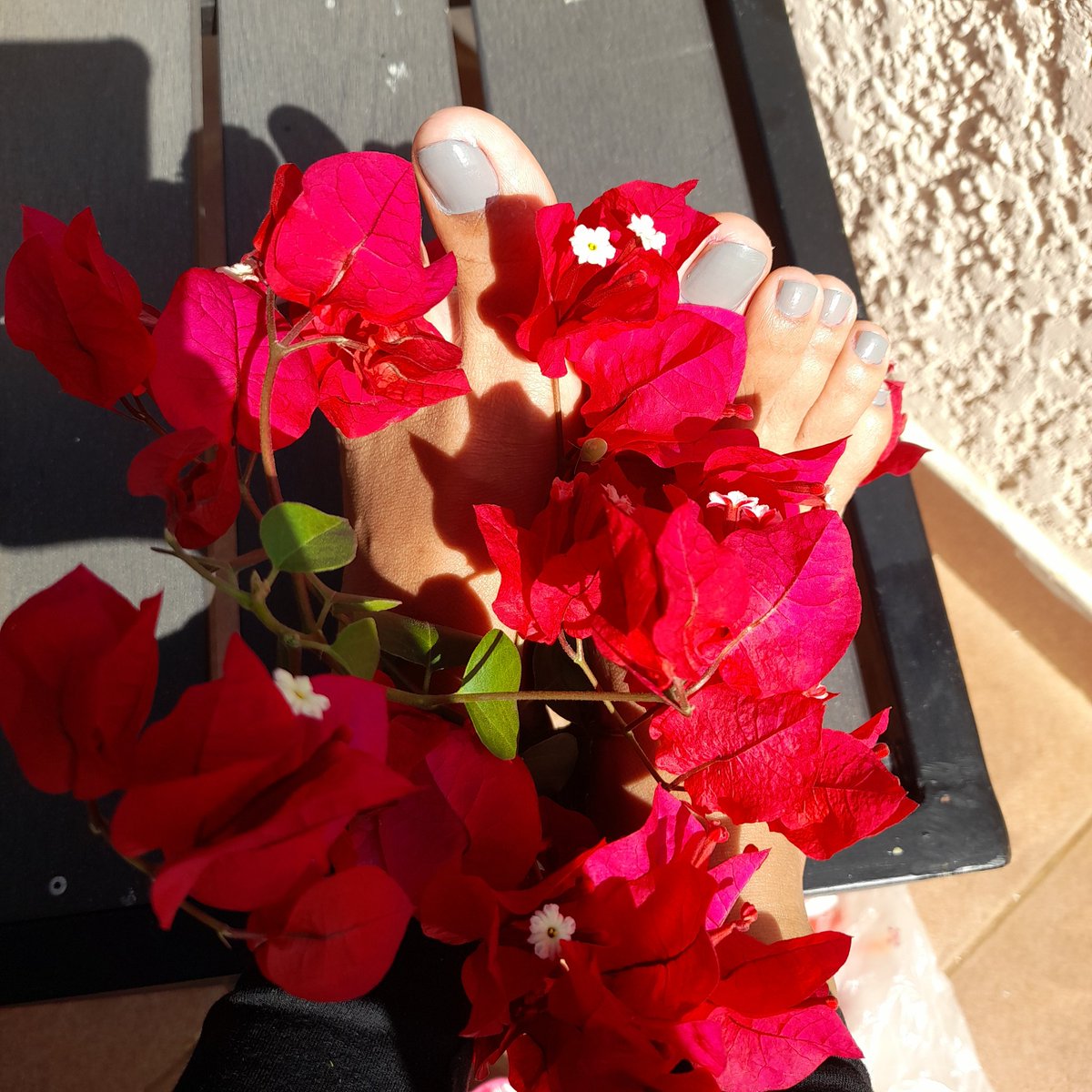 DollMiha's tweet photo. Happy Saturday🍒🍒

#flower #feetworship #feetِ #feetpic #sunnyday #feetfetiche #feetlover #toeslover https://t.co/uaS9yVUGY2