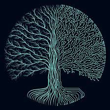 CrunchMyPills's tweet image. #Arborescence #TreeStructure #CoeurCorpsTêteTripes #HeartBodyMindGuts
#LaParaboleDuSemeur #ParableOfTheSower
#QuiSèmeLesGrainesRécolteLeTempo
#WhoSowsTheSeedsReapsTheTempo
#NeuroDiversity #Autism #Empathy #HyperEmpathy
#OctaviaEButler #MCSolaar