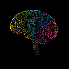 CrunchMyPills's tweet image. #Arborescence #TreeStructure #CoeurCorpsTêteTripes #HeartBodyMindGuts
#LaParaboleDuSemeur #ParableOfTheSower
#QuiSèmeLesGrainesRécolteLeTempo
#WhoSowsTheSeedsReapsTheTempo
#NeuroDiversity #Autism #Empathy #HyperEmpathy
#OctaviaEButler #MCSolaar