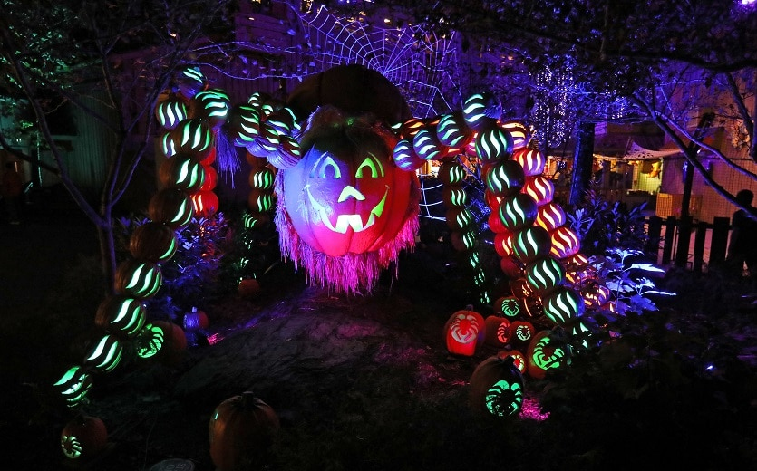 LHS_Commu's tweet photo. [ทางตอนใต้ของ Leo Town l #LHS_LumiNight🎃🕯️🌕]

ยินดีต้อนรับสู่โลกเวทมนตร์ สัมผัสประสบการณ์ใหม่ที่ไม่เคยเห็นมาก่อนได้ที่ LumiNight Lantern Festival

ในโลกเวทมนตร์ของเรา เผยให้เห็นประติมากรรมโคมไฟส่องสว่างทำหน้าที่เป็นไกด์ พาชมเทศกาลแสงสีชวนตื่นตาตื่นใจและกระตุ้นจินตนาการ https://t.co/HHjcMMBxap